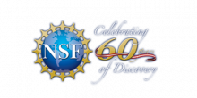 NSF 60 logo