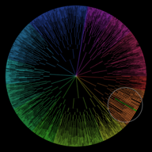 BaSCA: Bacterial Single-Cell Analytics Project