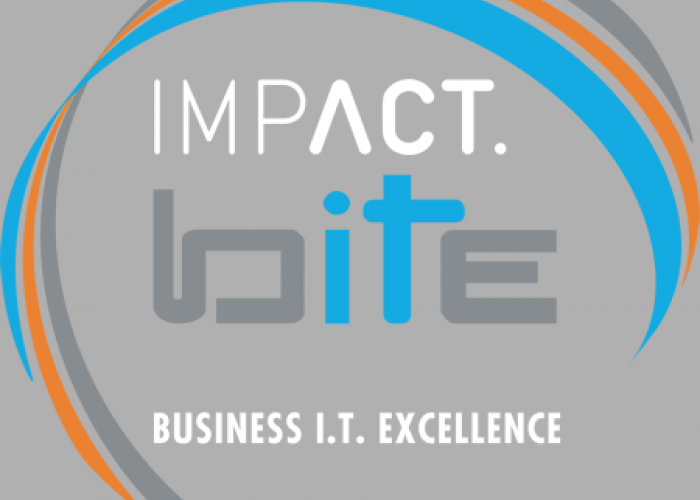 Business I.T. Excellence logo