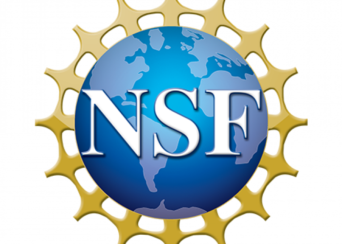 NSF logo