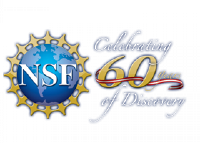 NSF 60 logo