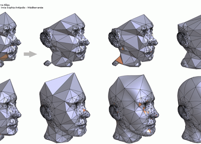 GRAPES - Learning, processing and optimising shapes